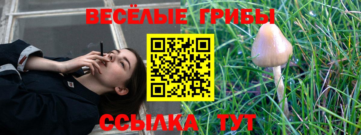 Галлюциногенные грибы мицелий Якутск
